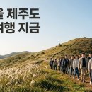 개명펜션 | 초가을 제주도 단체여행 준비, 담당자가 순서대로 끝내는 항공·숙소·버스 확보와 규모별 일정 설계