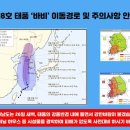 제8호 태풍 ‘바비’ 이동경로 및 주의사항 안내 이미지