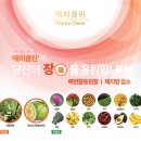 해피클린 - 순창군 | 해피클린