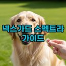 하나로 동물약국 | 넥스가드 스펙트라 구매 가이드: 약국 가격부터 직구 팁까지