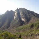 오봉산농원 이미지