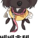 베베 애견유치원 네이버블로그