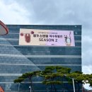 돌고래게임장 이미지