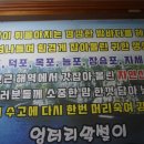 옥포막썰이회해물 이미지