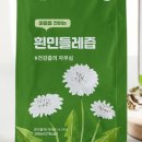 민들레민박 이미지