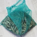 지유농장 이미지