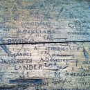 그린동물병원 이미지