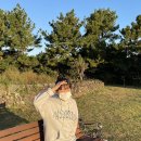 함비자 게스트하우스 | 제주도 함덕 &#34;게스트하우스파티함비자&#34; 숙박 후기