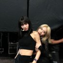 모미랑 이미지