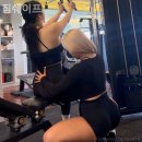 짐쉐이프 | 용강동헬스장 짐쉐이프 헬스장 운동 방법