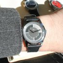 N&A로열독 이미지