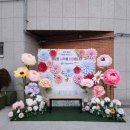 서울중랑초등학교병설유치원 이미지