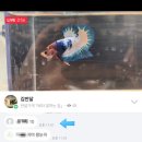 베타봉봉 이미지