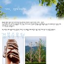 포사모 | 포사모 정모 후기