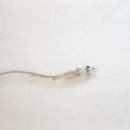 독립-16-05 이미지