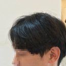 라움헤어트리 이미지