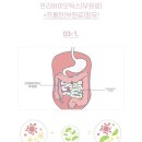 피에이치 | 피에이치365 프로바이오틱스 우먼 임산부유산균 실사용후기