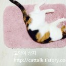 심재웅 동물병원 이미지