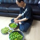 주사랑 농장 이미지