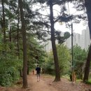 부춘산 유아숲체험원 이미지
