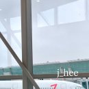 [j.hee] 보홀 2박 3일 여행 경비 총 정리 ; 비행기 가격, 숙소후기 ( 헤난 타왈라 리조트 )^