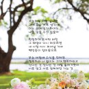 백만송이의 장미 - 임주리 이미지