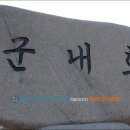 진도 고니류 도래지 이미지