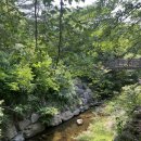 증심사뚱돼지숯불갈비 | [광주/무등산] 야외식당추천 | 계속 물소리 들으며 제육볶음 먹고 왔어요 | 증심사뚱돼지숯불갈비