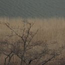 그리다, 강릉 이미지