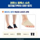 레푸스 태릉입구역 이미지