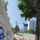 용산마을진입로 이미지