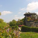 수원-1008 이미지