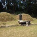 성종농장 이미지