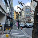 긴자료코 행신점 네이버블로그