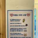 오묘 고양이카페호텔미용 | [대구놀곳] &#39;오묘고양이카페호텔미용&#39; 대구 앞산 고양이 카페, 무마취 미용 후기