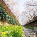 중도석유(주)관문주유소 | 4월 14일 뉴스 요약 모음