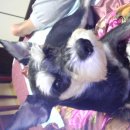 남구-011 이미지