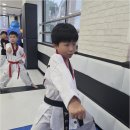 명인 태권도 | 웃음꽃 피는 양재동태권도, 명인태권도에서 우리 아이의 건강한 성장을 찾아서
