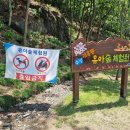 대흥동 유아숲체험원 이미지