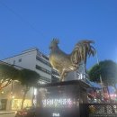 춘천 닭갈비 골목 [우미 닭갈비] 본점 후기