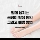 레푸스 두류점 이미지