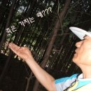 양지초교 이미지
