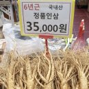 황금인삼사