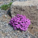 다릿재농원캠핑장 이미지