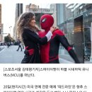 스파이더맨, 어벤져스 떠날 듯…소니-디즈니 협상 결렬[할리웃톡] 이미지