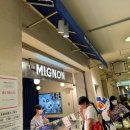 미뇽(mignon) 이미지