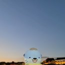 하모헤어