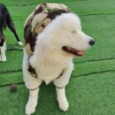 멍품유치원 이미지