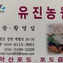 유진농원 이미지