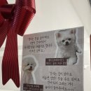 에덴정육점 이미지